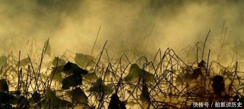 杨万里傍晚时分出门散步,信手拈来写下一首诗,充满了诗情画意!