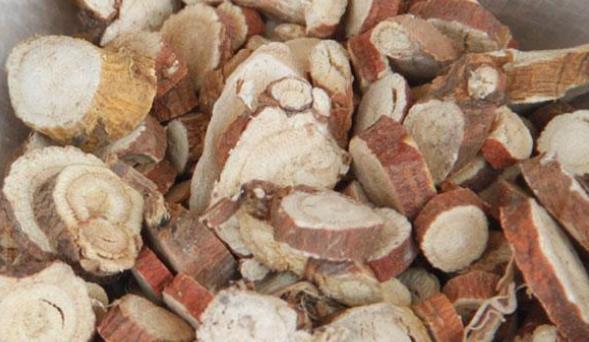 禁忌|常喝黄芪水能补气提神,但有很多禁忌需留意,不然小心适得其反!