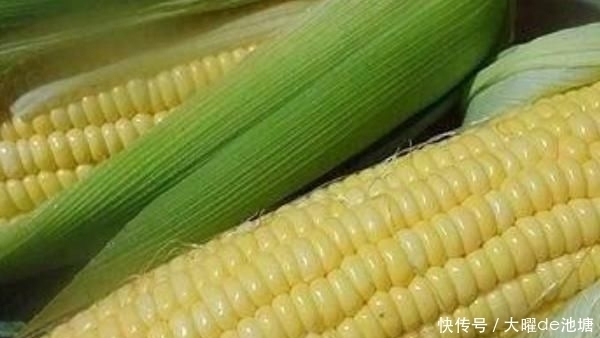 很大|煮完的玉米水别倒掉,它有很大的用处,可惜很多人不知道
