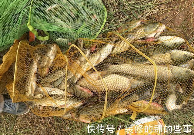 蓑笠哥|浅谈野钓大物竿,装备选购及使用技巧,轻松玩转