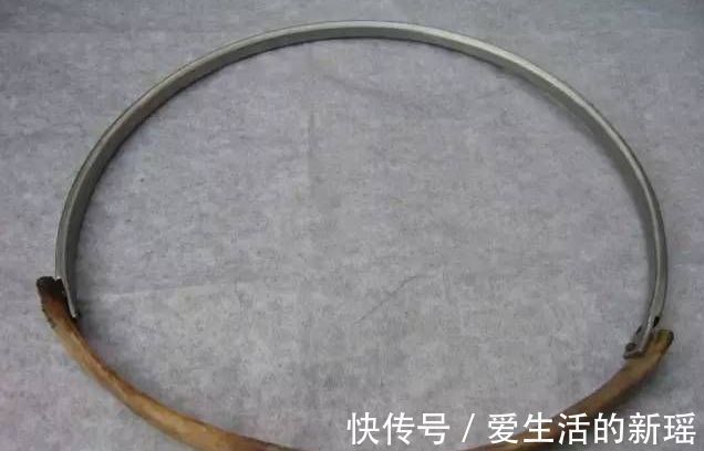 夏娃#疯狂的艺术家何云昌:取出肋骨制成项链,给5位深爱的女人戴上