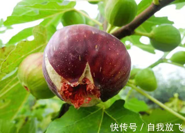 坐浴|痔疮能自愈吗?民间最全消老“痔”偏方!现在收藏还不晚!