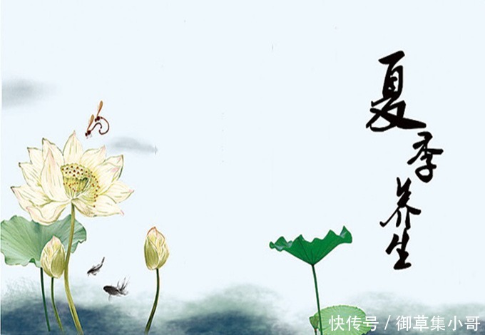 苦瓜|“夏天吃苦能养心”？小心吃错了，反而“伤心”！