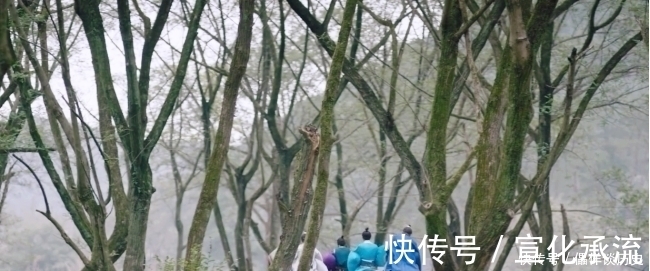 滕王阁序@王勃唯一一首入选教材的诗,其中一句堪称传世之经典,无人能超越