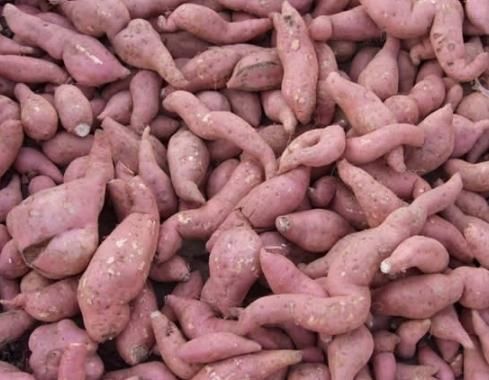 买红薯，只看粗细就错了，牢记4个小妙招，红薯香甜软糯，实用！