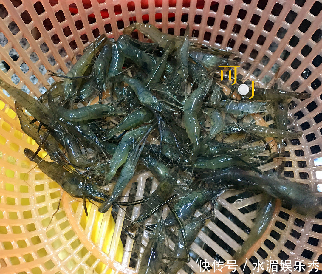 爸妈|端午节请爸妈来家吃饭,六个菜4个粽子300元,你觉得还好吗