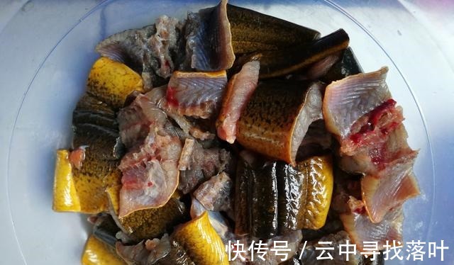 带鱼|入秋后，“贴秋膘”可别乱补，分享秋后5种鱼，营养解馋，不怕胖！