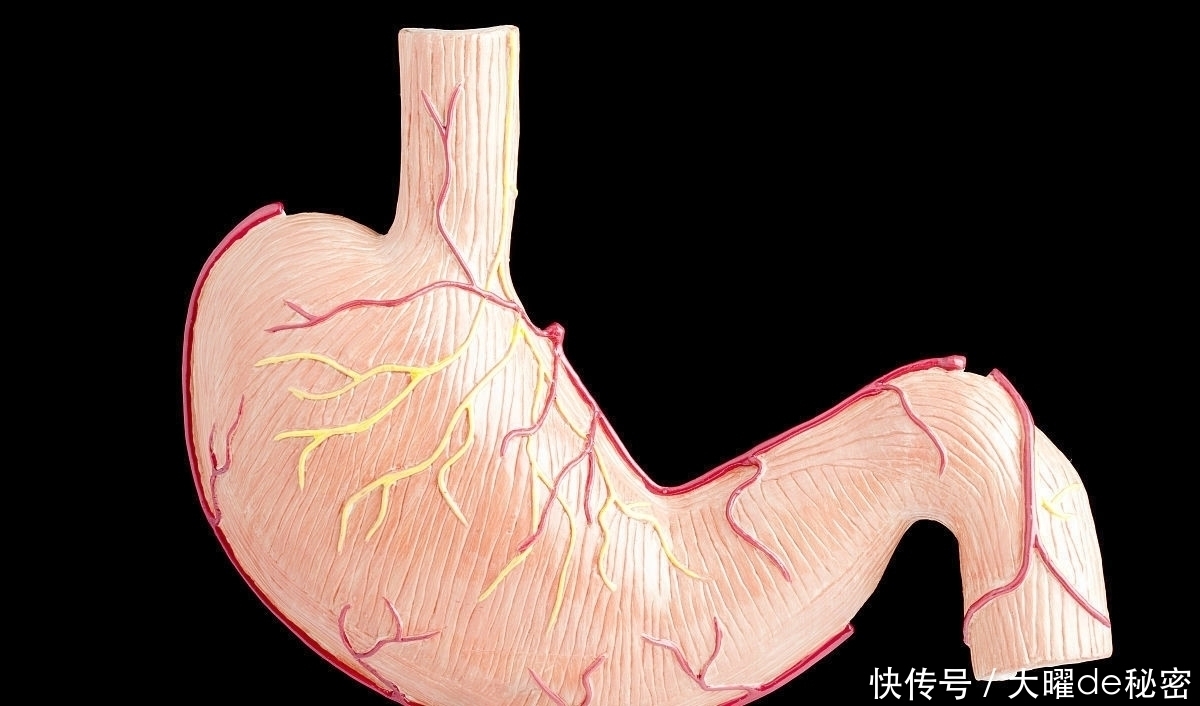 要想远离胃癌，别再吃三种食物了，对胃的伤害