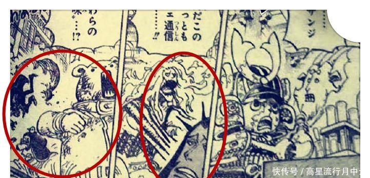 海贼王1005话,卡塔库栗上线并露脸,King火焰射击对马尔科没效果