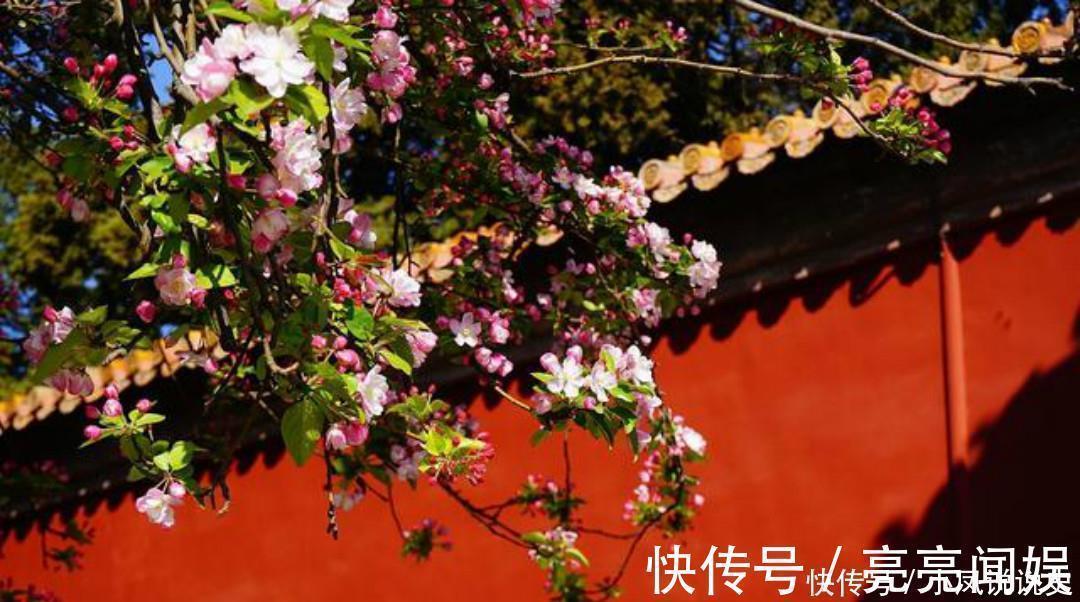 忧愁$岑参两首不可不读的经典,每一首都很孤独,写出了繁华过后的落寞