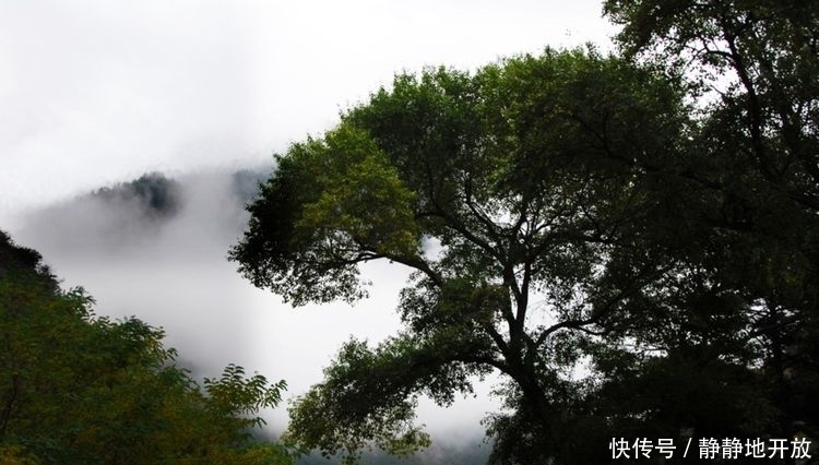 九寨沟|九寨沟最美的季节 你一定要去看一看