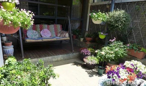 秋天的院子，养点喜欢的花，乐得自在！