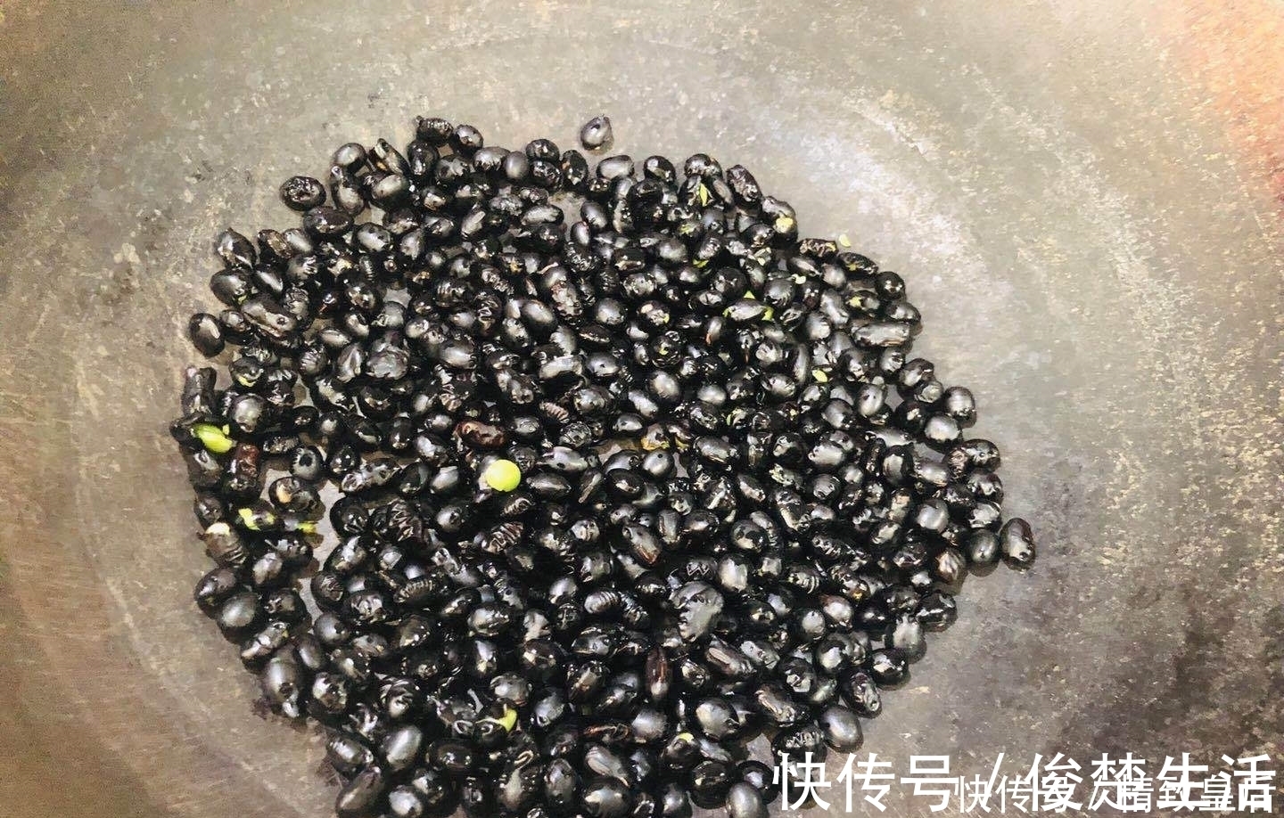 吃法|除了做豆浆和熬粥,黑豆的这种吃法简单还好吃,一天一勺特省事