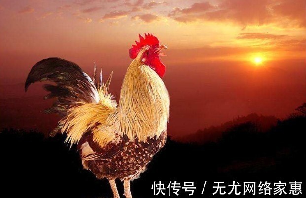 懒惰#“家败有迹象”:一个家庭误入3个舒适区,往往是家庭衰败的开始