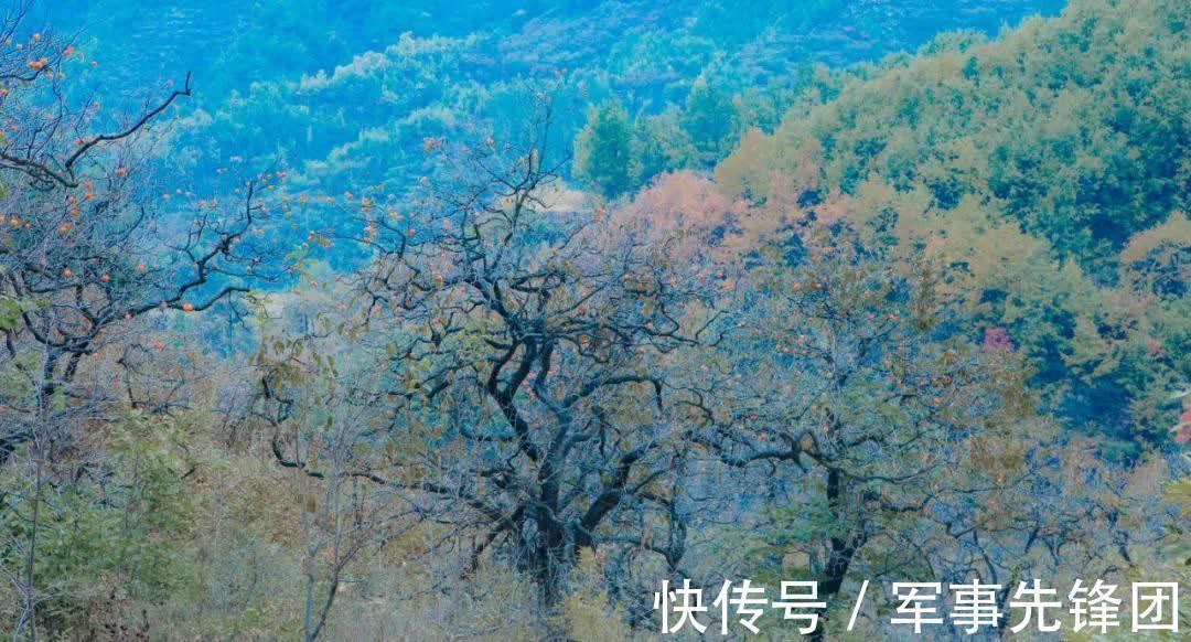 湘灵$送走心爱的侍女后,他写了首宋词,中间两句让人想哭,成网络金句