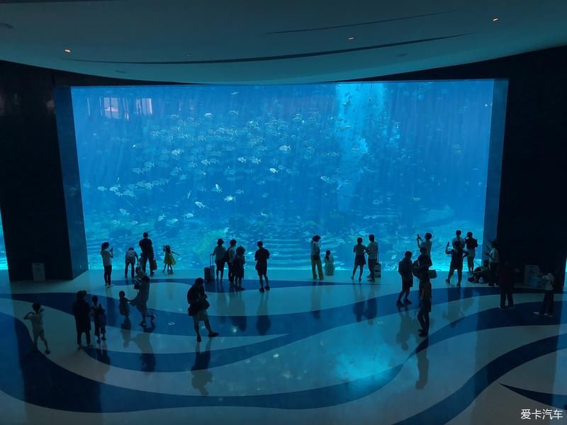 水族馆|游亚特兰蒂斯水族馆