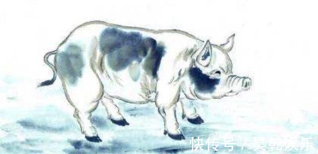 民间!“猪来穷,狗来富,猫儿来了开当铺”到底啥意思八成人理解错了