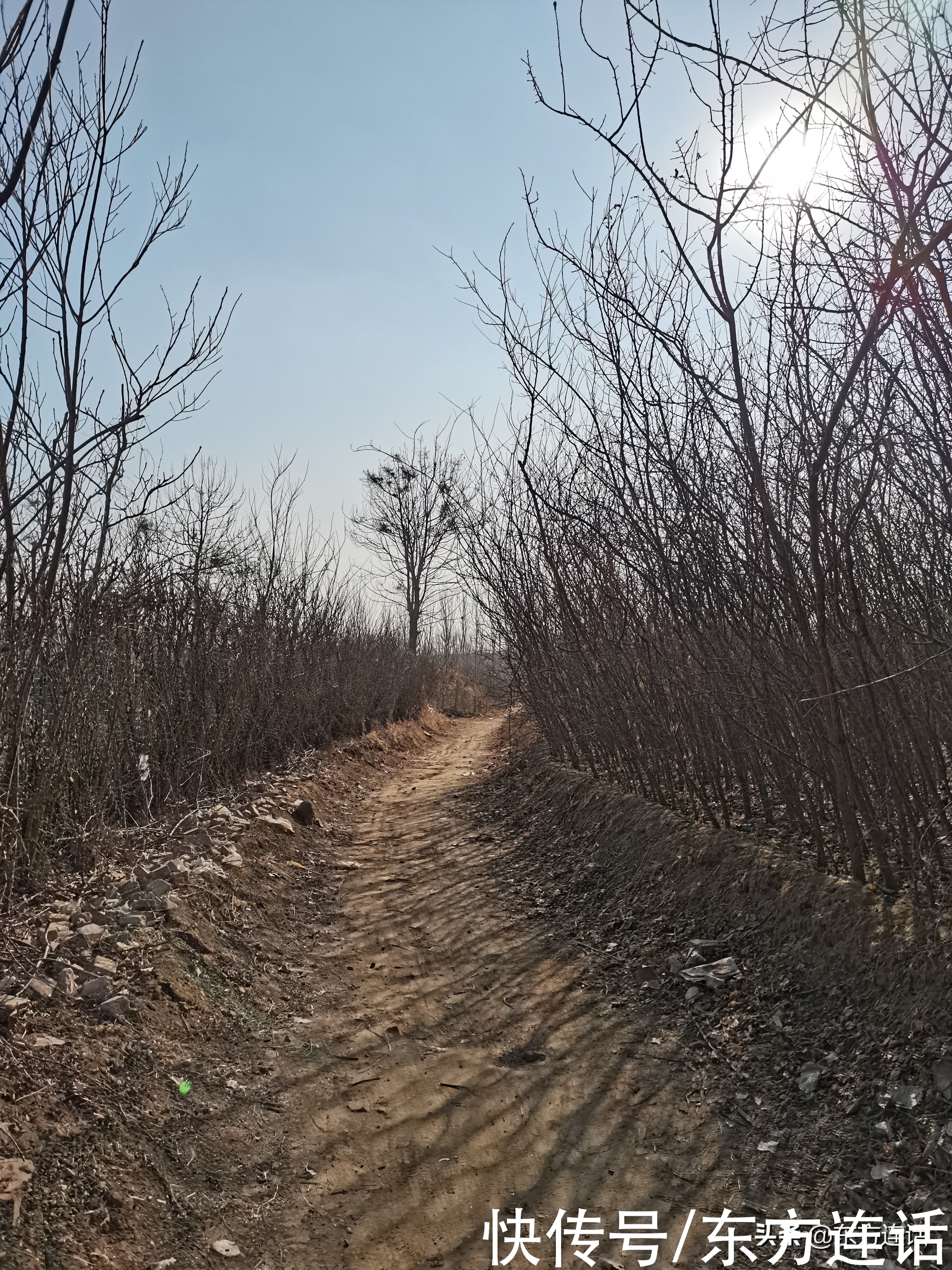 春节笔记:骑车远行的自洽