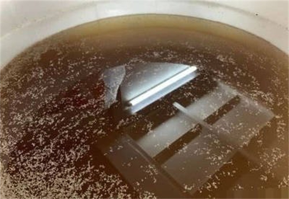 熟料|生料酿酒和熟料酿酒有什么区别?