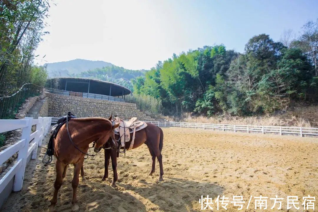 民宿|上海出发2h，周边最值得去温泉度假民宿，看飘雪泡温泉丨南方民宿