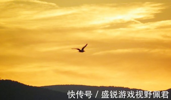 下半阕!见一只大雁殉情而亡,16岁少年黯然神伤,提笔写就无法超越的名篇