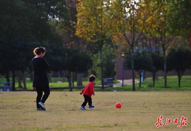 秋光|公园赏最后秋光｜图集