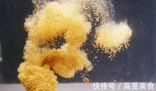 野钓|户外作钓,几种常见的误区会让新手朋友栽跟头,希望没有说到你