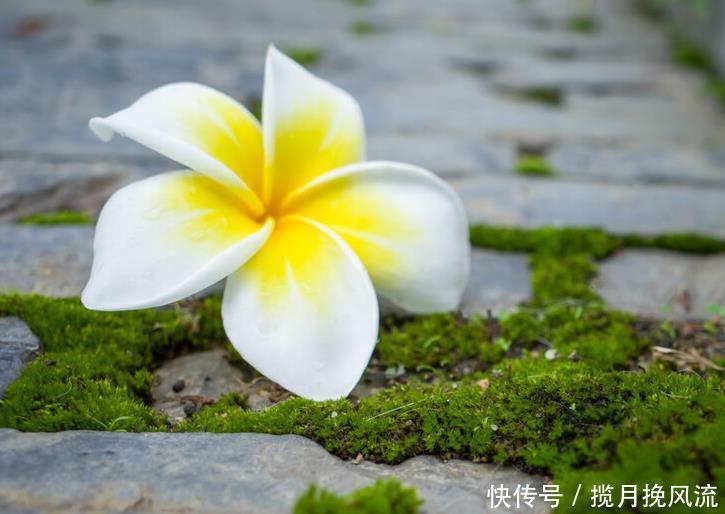 挥霍|人生下半场，最挥霍不起的是健康