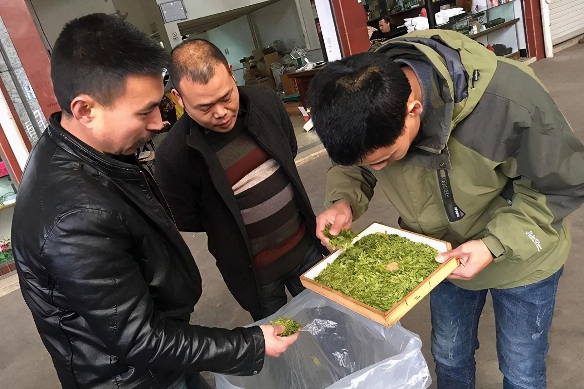 茶叶|不懂茶不见得就不会买茶，不懂茶该怎么买茶？