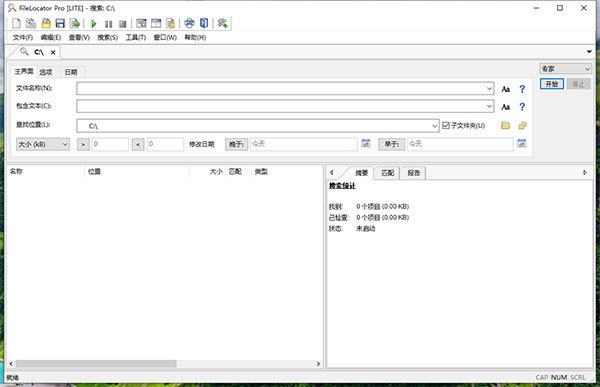 FileLocato Pro中文绿色版 v8.4.2840.1-劳模下载