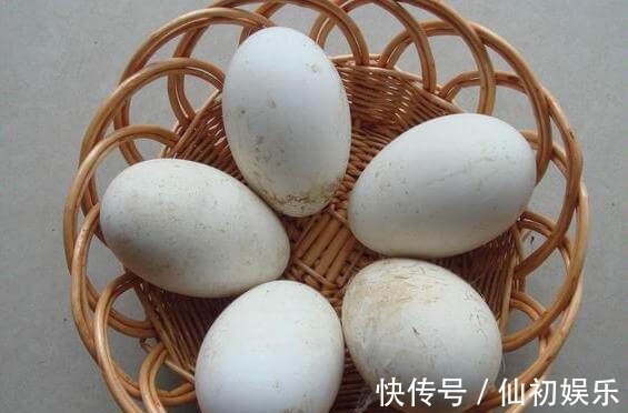 女性|对身体很好的食物,女性经常吃,健脾养胃,排毒抗衰,增强体质