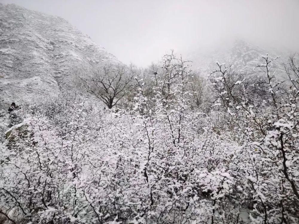 冬雪|一场冬雪，飞白作画，染了山水，美了岩画