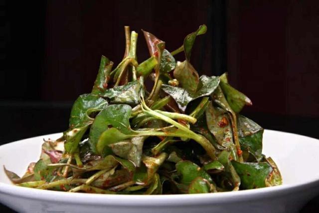 清热解毒|肝火过旺,眼干,口苦,多吃5种野菜,保肝护肝,清热解毒灭肝火