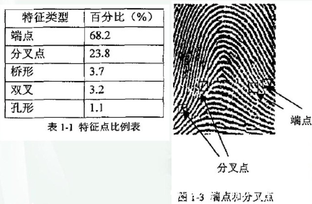 步态|担心信息泄露你需要注意的不只是指纹而已！