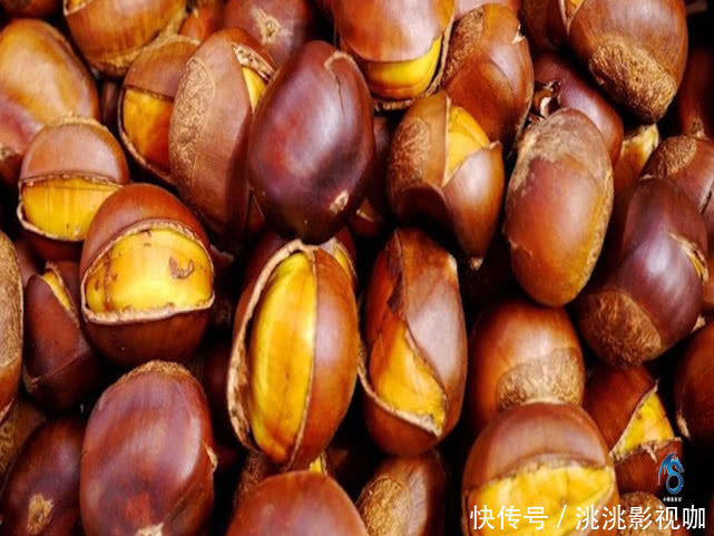 分享|板栗好吃难保存分享4个小诀窍,板栗个个糯粉香甜又新鲜!