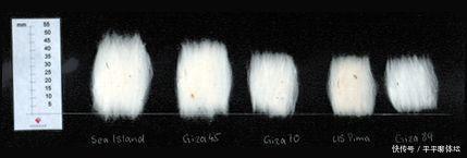 衬衫面料界的“爱马仕”，从英国王室到时尚潮流界无不折服