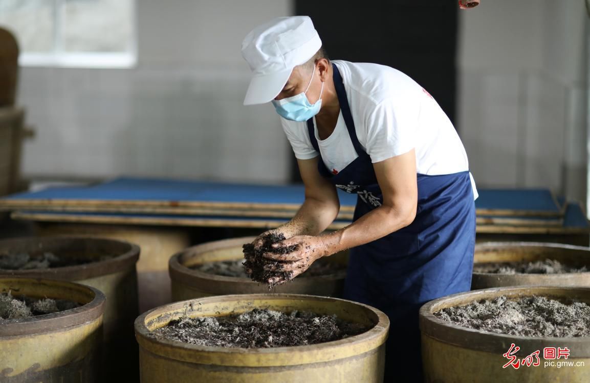 赤水市|古法酿醋焕发生机