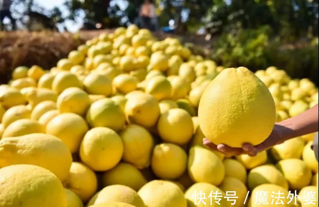 多汁|冬至后,卧室要有的3种“富贵果”,寓意鸿运当头红红火火