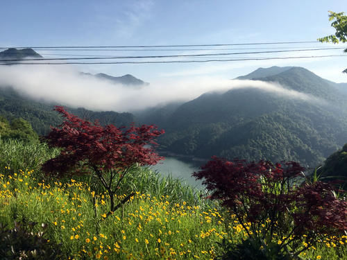 中年|江西有座道教名山，被誉为国内最美的山，网友表示：好像来到了黄山！