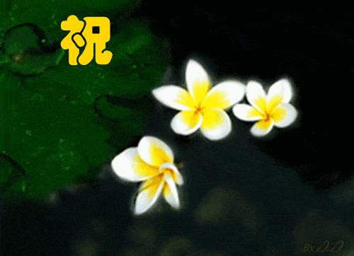 2020年2月16日微信晚安祝福语句子非常漂祝福动态表情图片带字 快资讯