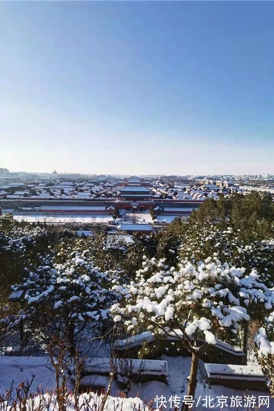 景山|北京雪后的景山和故宫太美啦！银装素裹，大气恢宏！