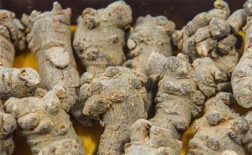 黄芪常喝身体棒,加上此物一起用水煮,补气益血,便宜又实惠