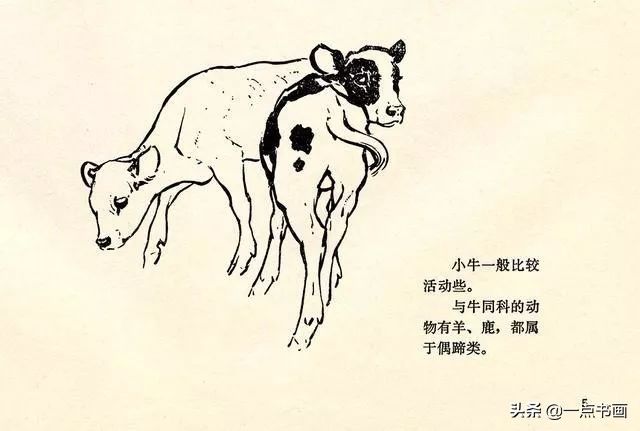 画家|刘继卣《怎样画动物》，极其珍贵，值得珍藏