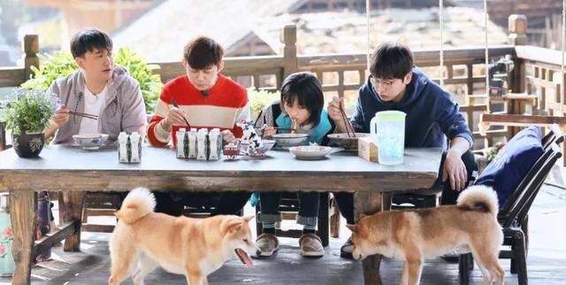 《向往的生活5》官宣定档，除了四位常驻外，还有“顶流”界的他