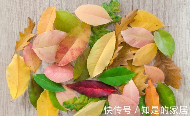 旧爱|从10月7日开始，不离不弃，旧爱相拥，重拾感动，再续前缘