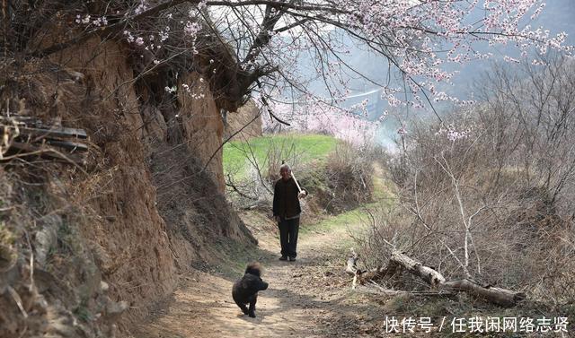 无人机在晋南大山发现桃花岛，7旬老夫妻隐居山中生活让人羡慕