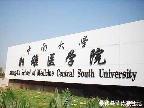 医学|一个是985医学硕士,一个是普通博士,你认为医院会优先录用哪个