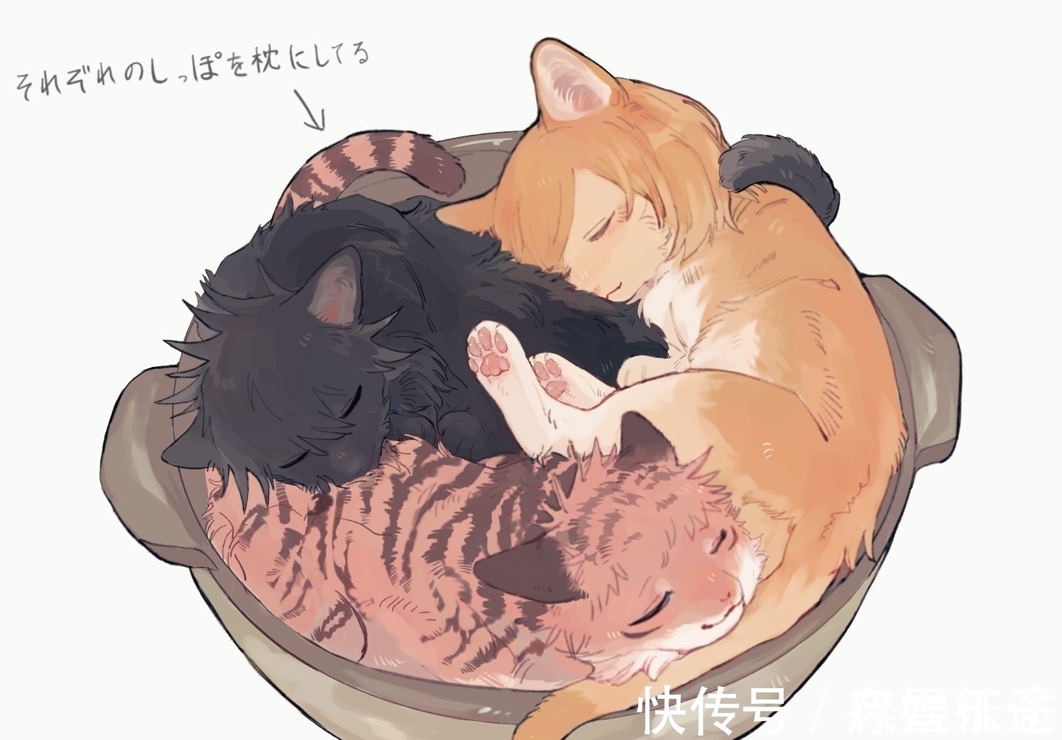 虎杖悠仁|咒术回战拟猫化,猫化五条悟挤压主角团,黑猫伏黑惠面无表情