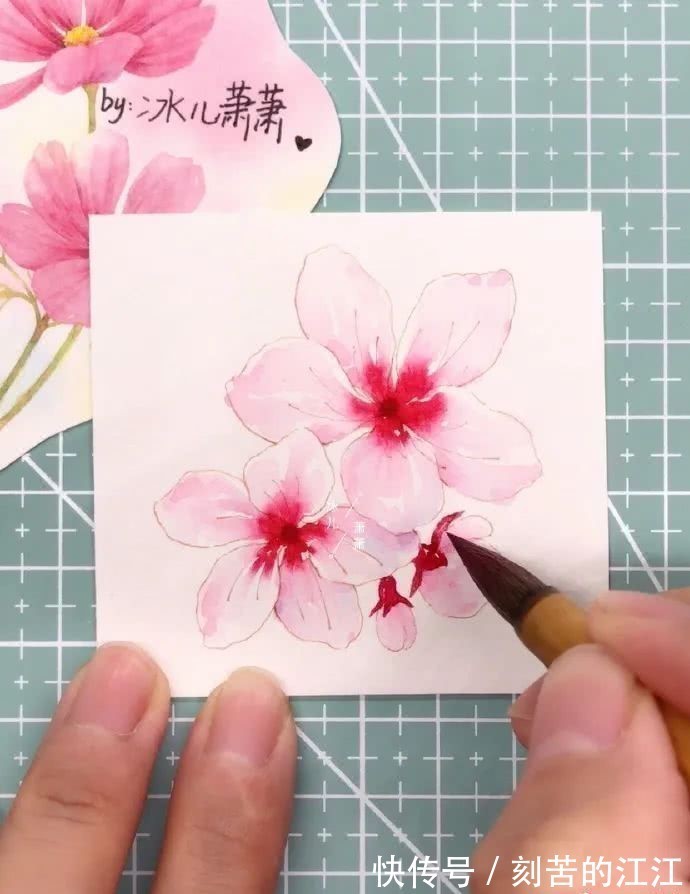 花瓣@水彩这样画,也太美了吧!居然把花瓣画出透明的感觉,看完忍不住保存!