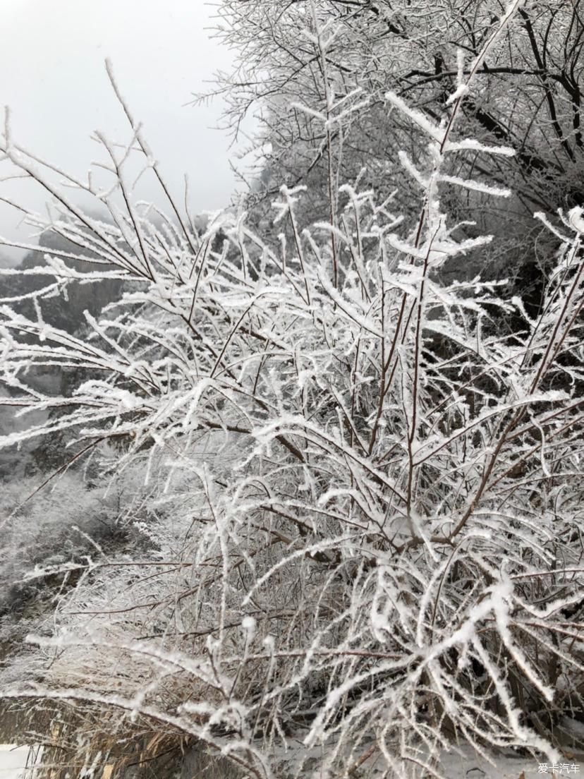 太行|冬日里来到南太行，亲历万仙山上漫天飞雪的壮观与震撼